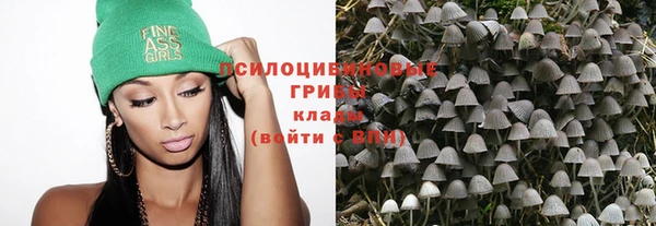 спиды Богородск