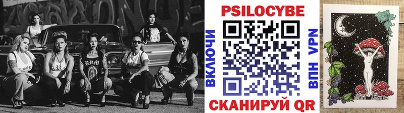 Купить где  Малоярославец  Псилоцибиновые грибы MAGIC MUSHROOMS 